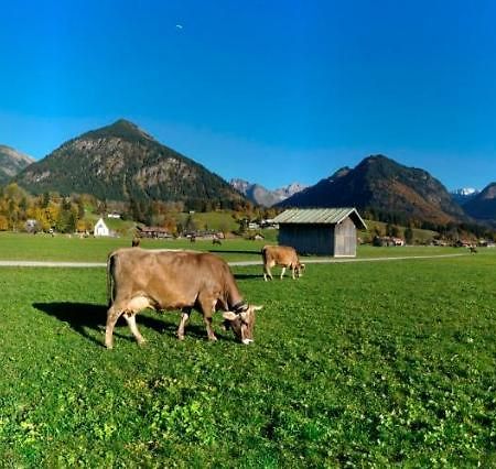 Appartamento Bergpanorama Oberstdorf Esterno foto
